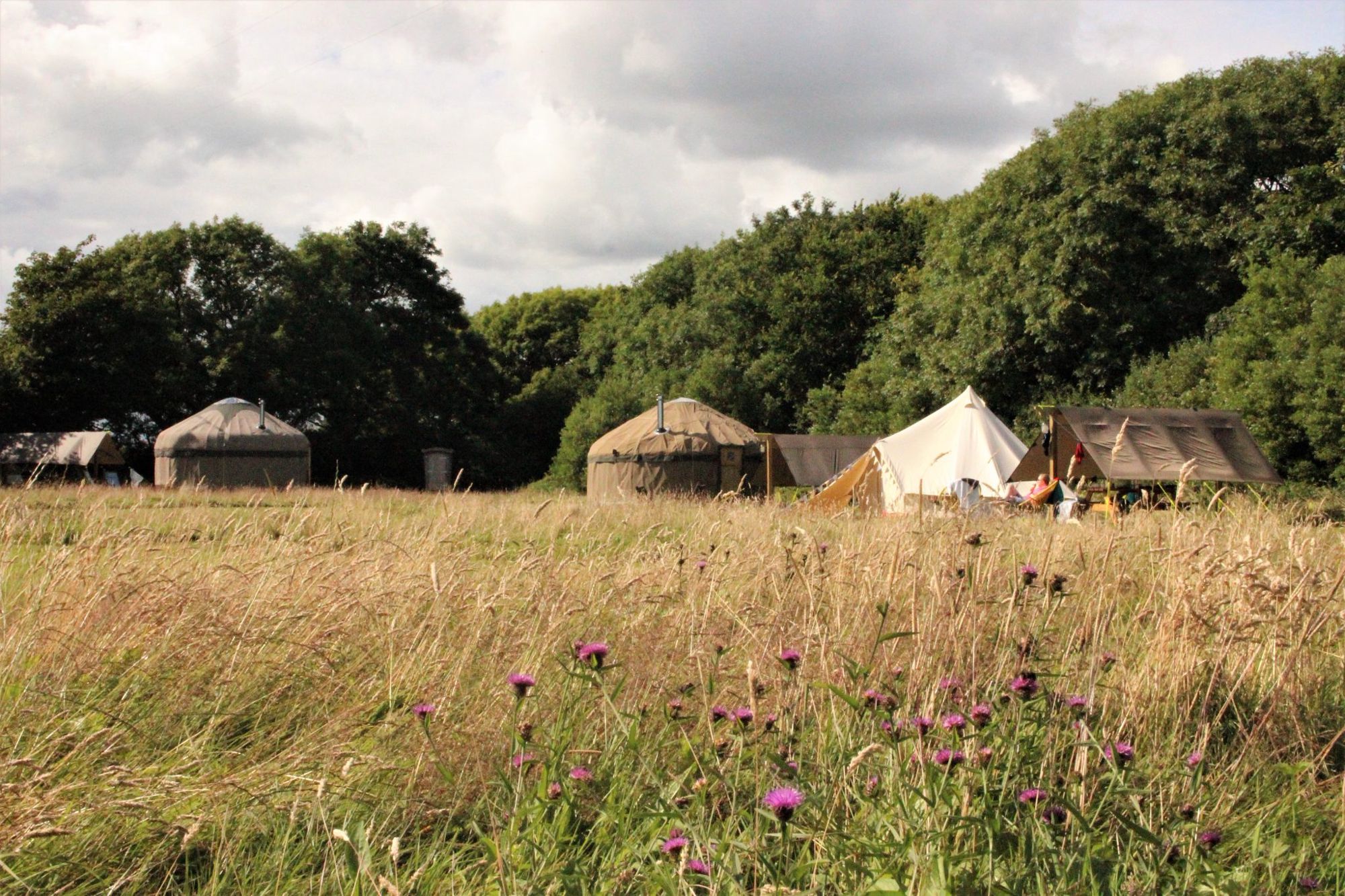 Glamping in Pembroke holidays at Glampingly