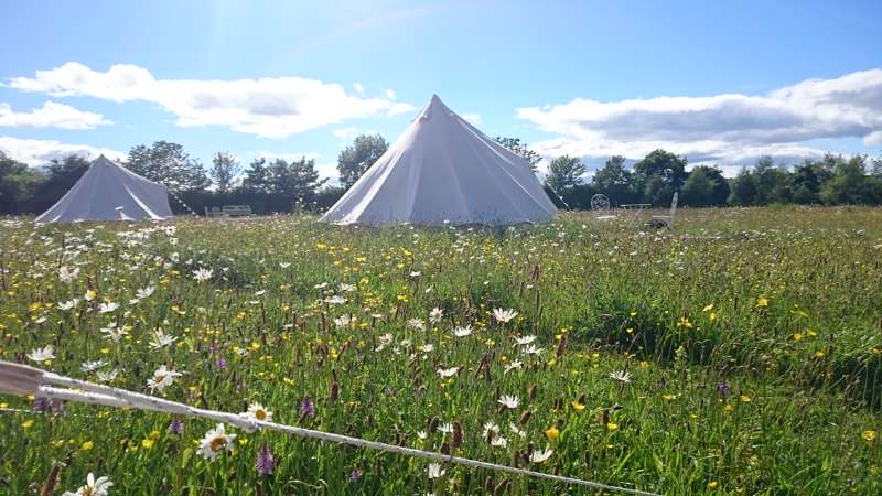 Pop-Up Bell Tent