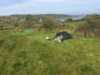 Long Field - Tent Pitch 21