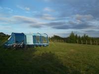 Tent/Small Campervan pitch