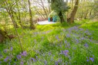 Willow – Stylish eco-friendly geo-domes with gorgeous Welsh woodland views