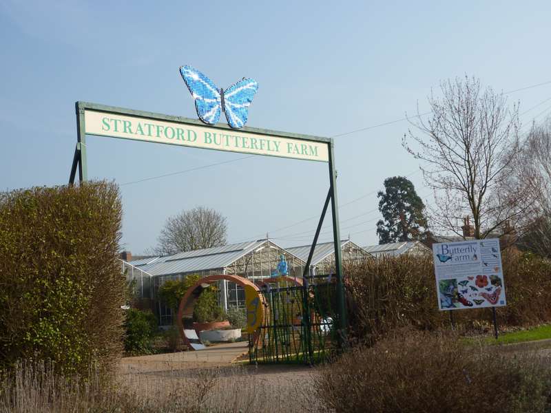 Stratford Butterfly Farm, StratfordUponAvon Cool Places