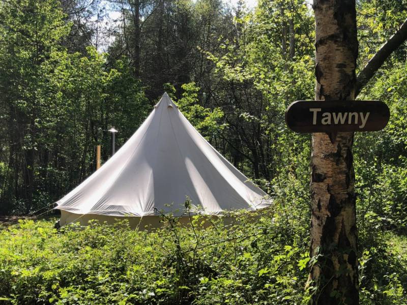 Tawny Bell Tent