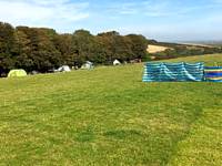 Grass pitch