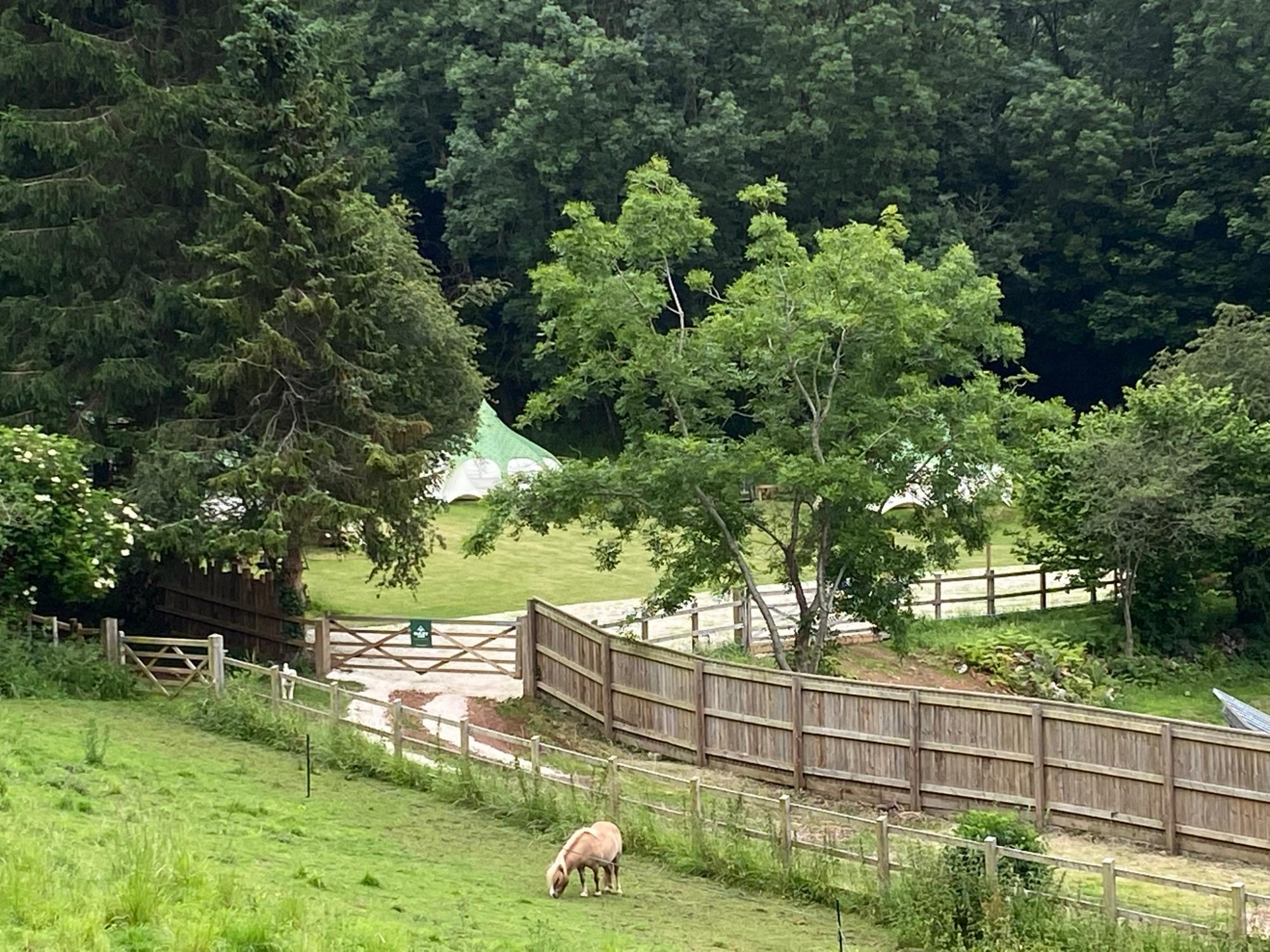 Glamping in Cheddar – Cool Camping