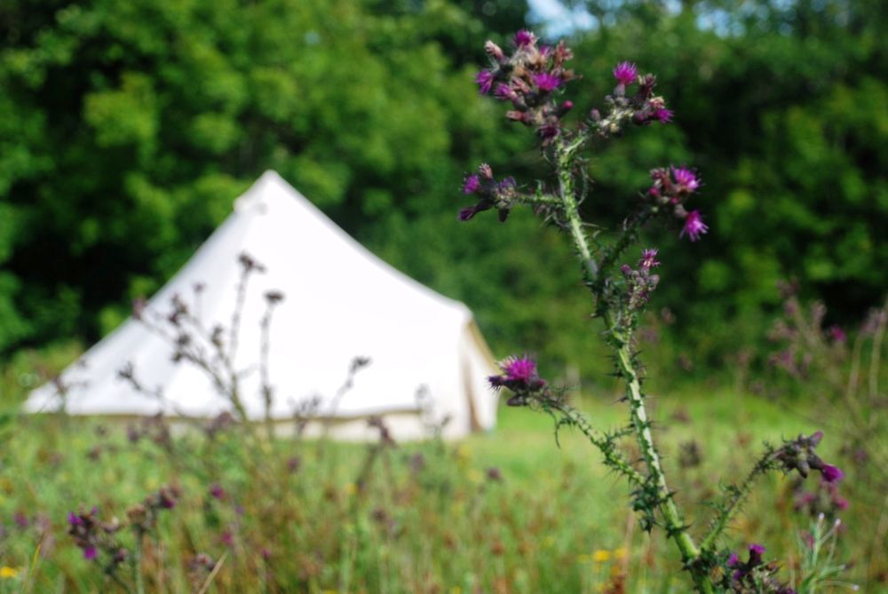 Bell tents in Cornwall – Best bell tent stays in Cornwall