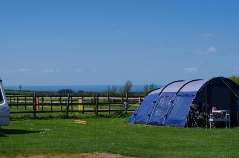 Standard Grass Electric Pitch
