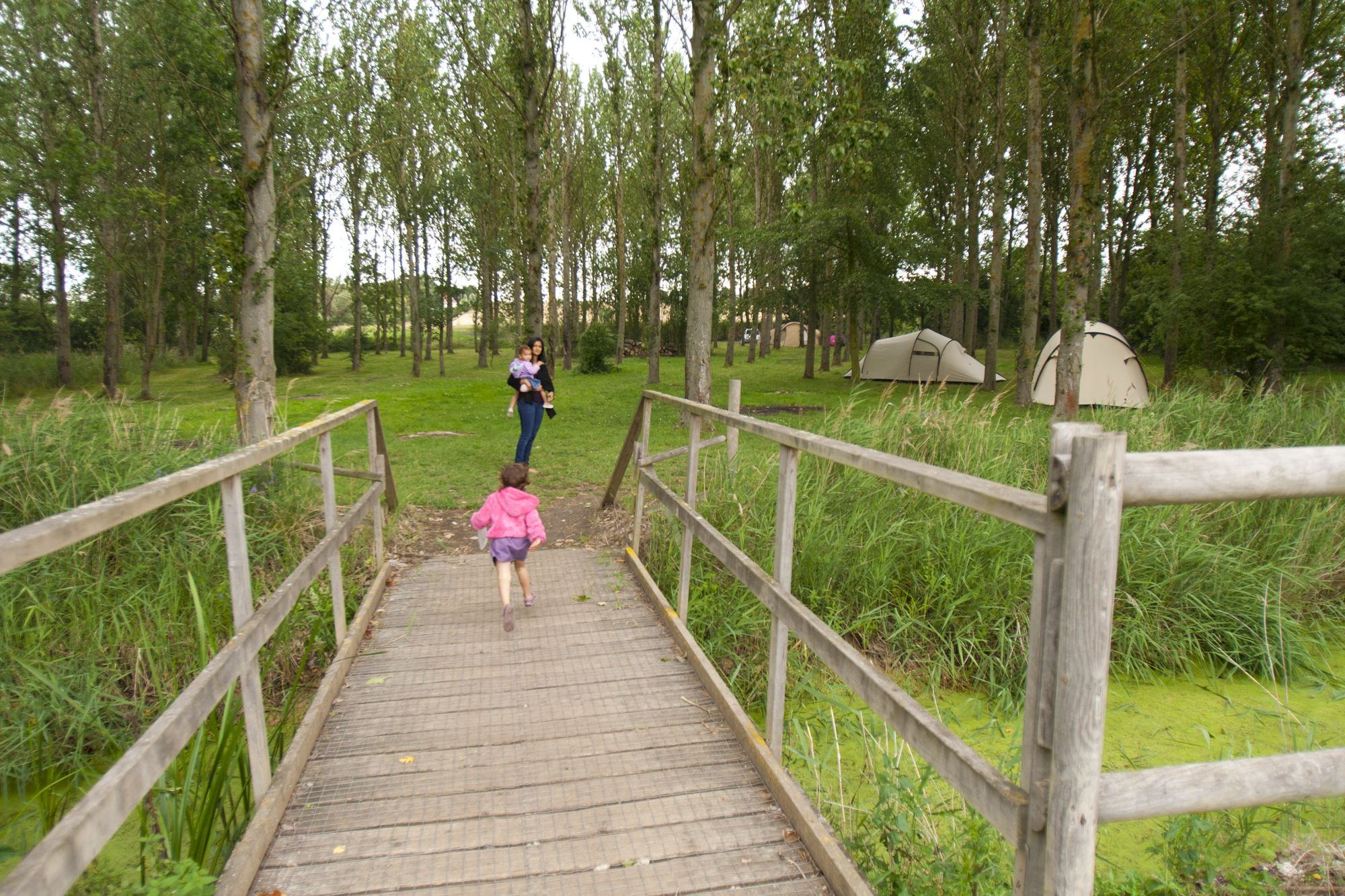 Campsites in Herne Bay holidays at Cool Camping