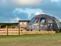 Stowe Stargazer