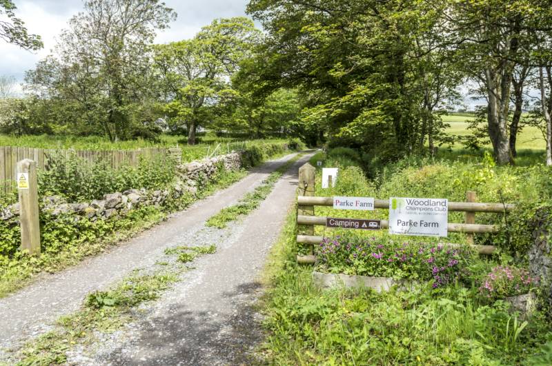 NonElectric Standard Grass Pitch