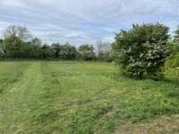 Grass Pitch 5