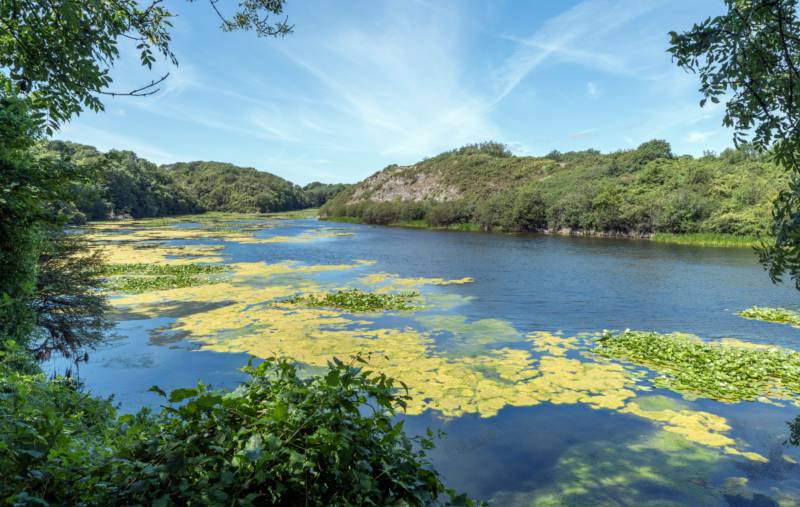 NonElectric Standard Grass Pitch