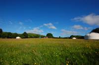 Bramley