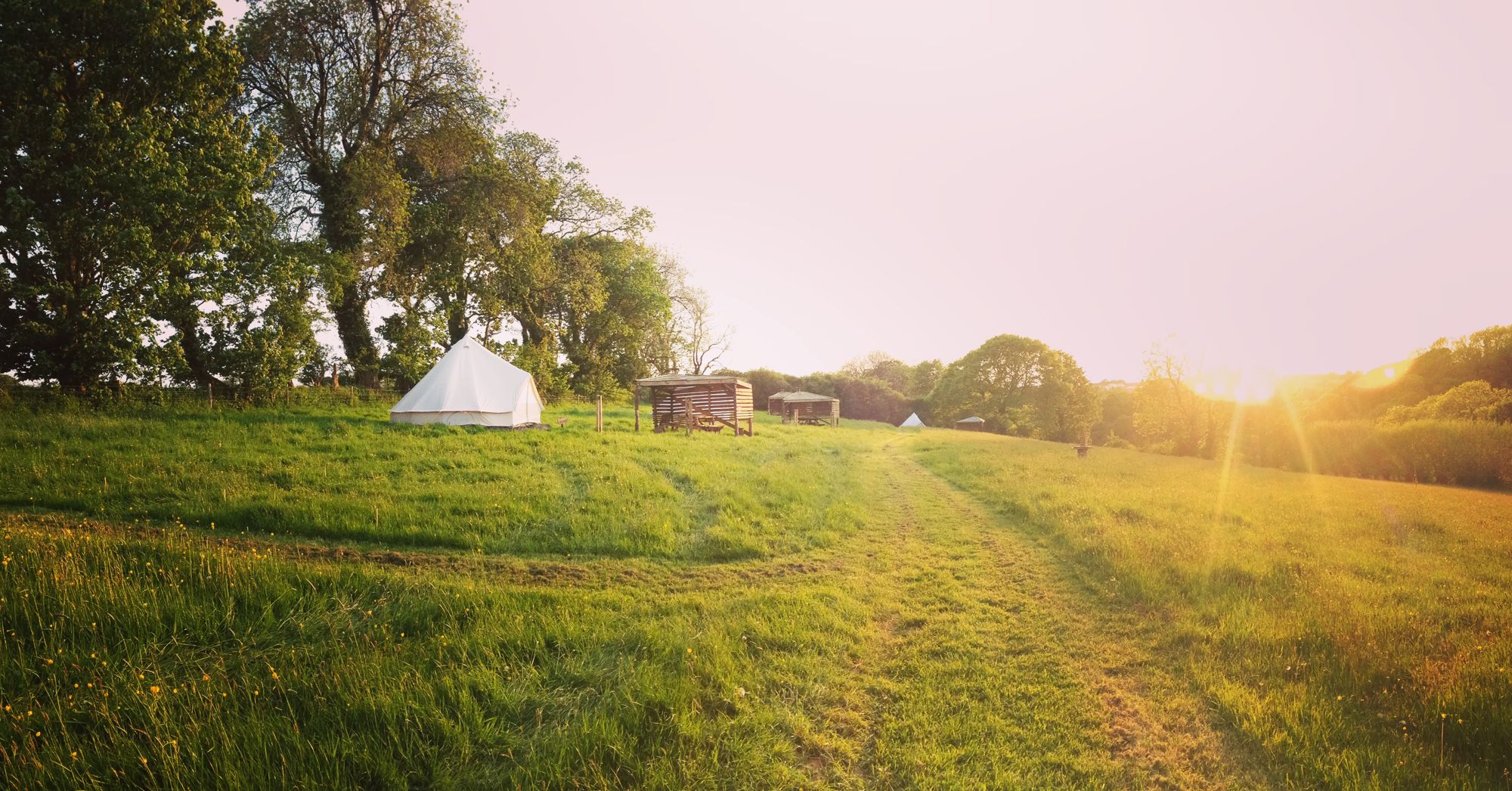 Wildflower Meadow Camping Pitch 9 at Eco Escape Campsite - Cool Camping ...