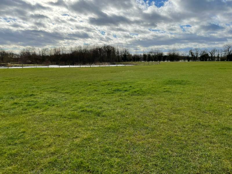 Grass Pitch without Electric