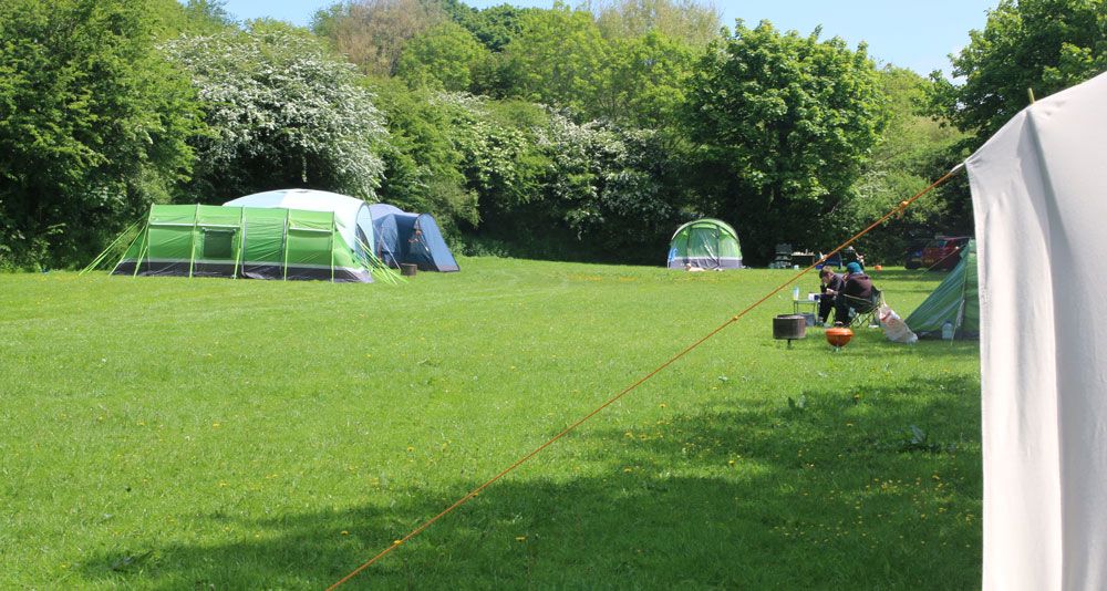 Camping Pitch 4 at Elm Farm I Love This Campsite (7075)