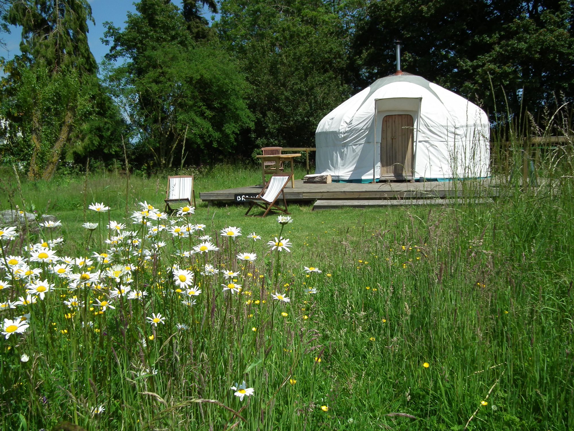 Glamping in Halesworth holidays at Cool Camping