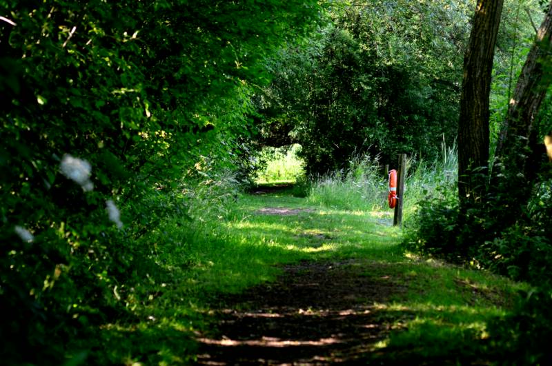 Tent Pitch with fire pit - Bella of Broch