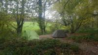 Woodland Tent Camping