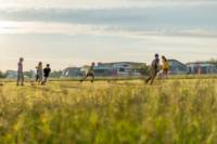 NonElectric Standard Grass Pitch