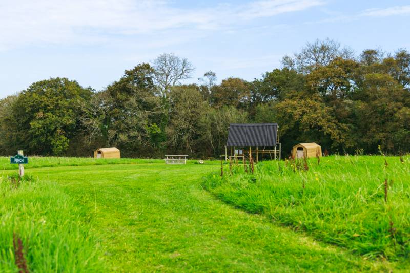 Finch - Ensuite Grass Pitch
