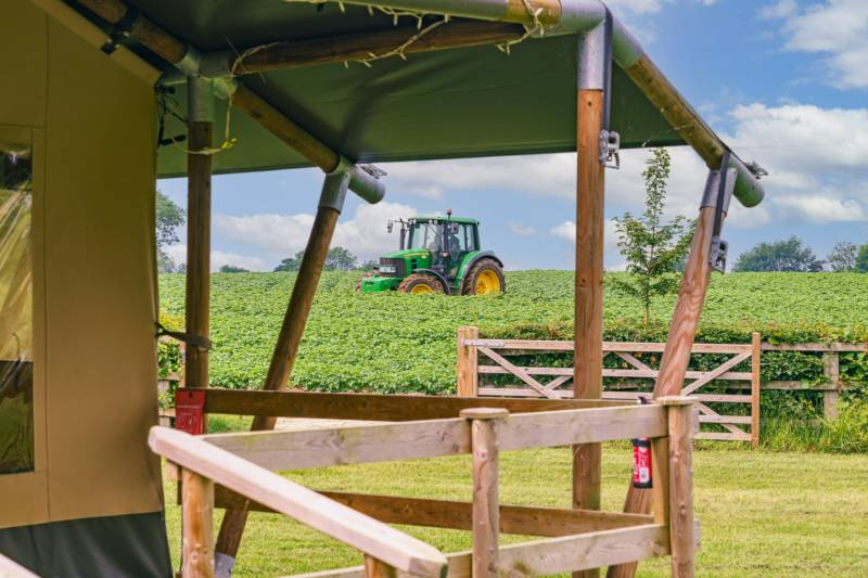 Otter's Den Safari Tent