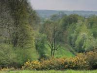 Valley Yurt