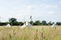 Meadow pitch