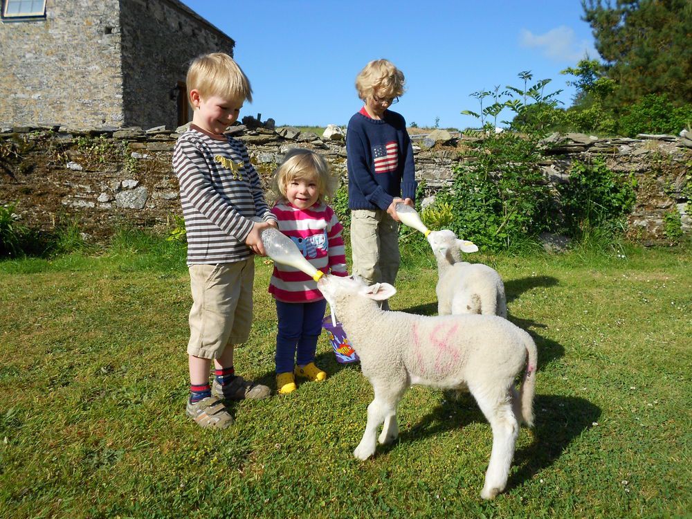 Glamping in Cornwall holidays at Cool Places