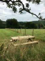 Grass pitch