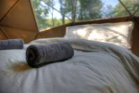 'The Drey'   Geo Dome