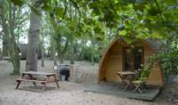 Cosy pods that offers hassle-free glamping in the most serene of surroundings