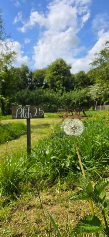 Coppice Pitch 25