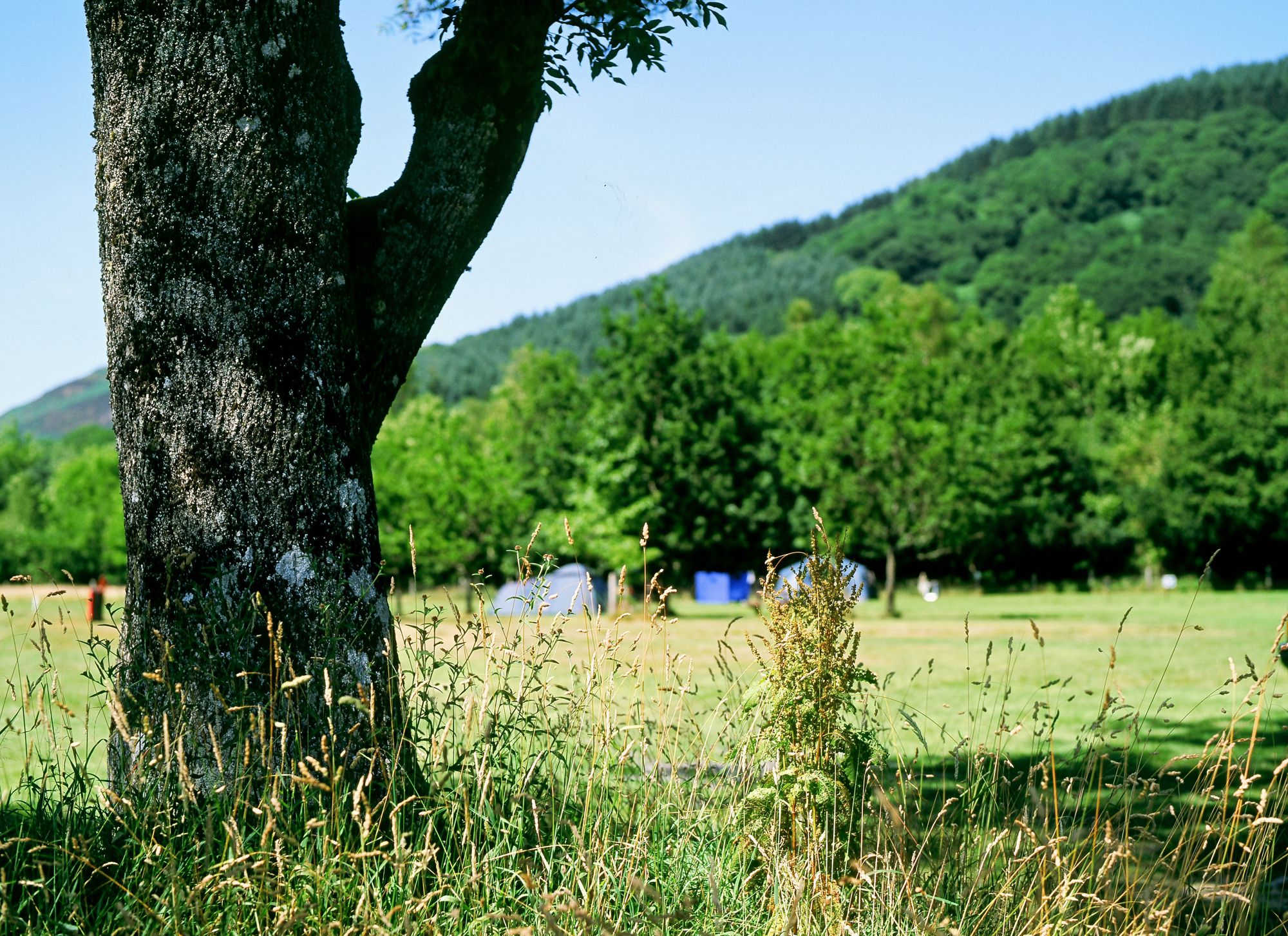Camping and Caravanning Club Sites - UK Campsites and Caravan Sites
