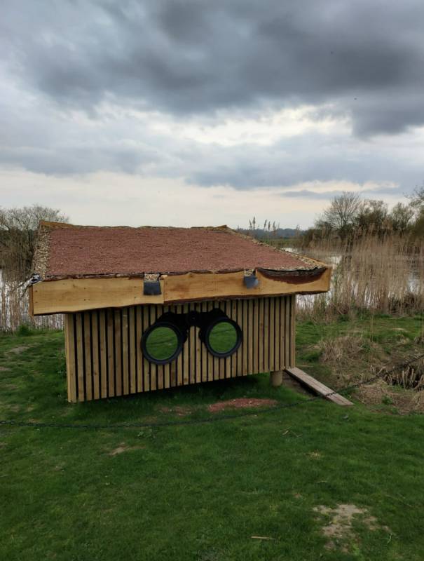 The Bird Hide