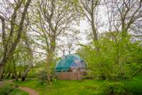 Spacious Dome Oak
