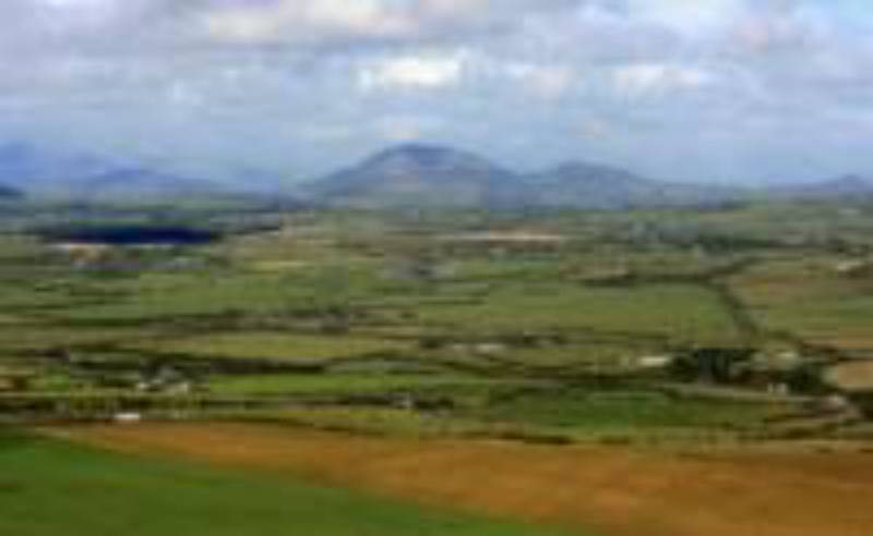 Grass Pitch - No Electric