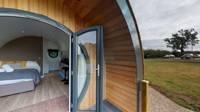 Wigeon (Dog Friendly)