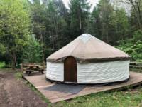 Woodpecker Yurt
