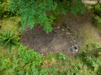 Woodland Tent Pitch 1 (3.5m x 3.5m)