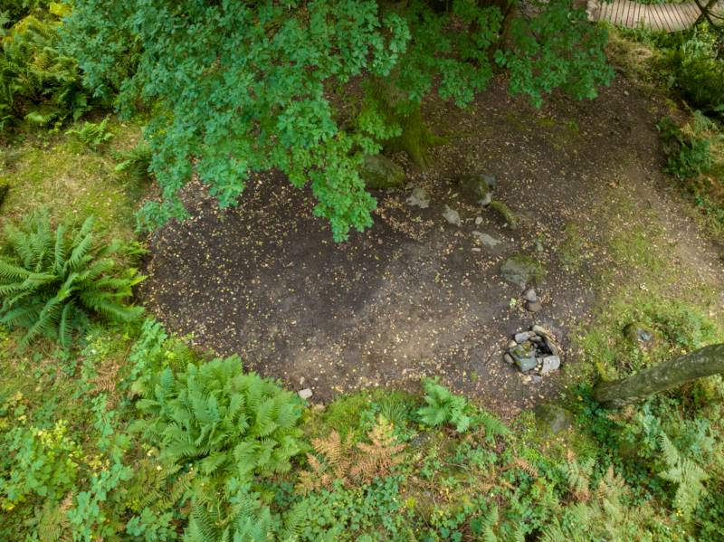 Woodland Tent Pitch 1 (3.5m x 3.5m)