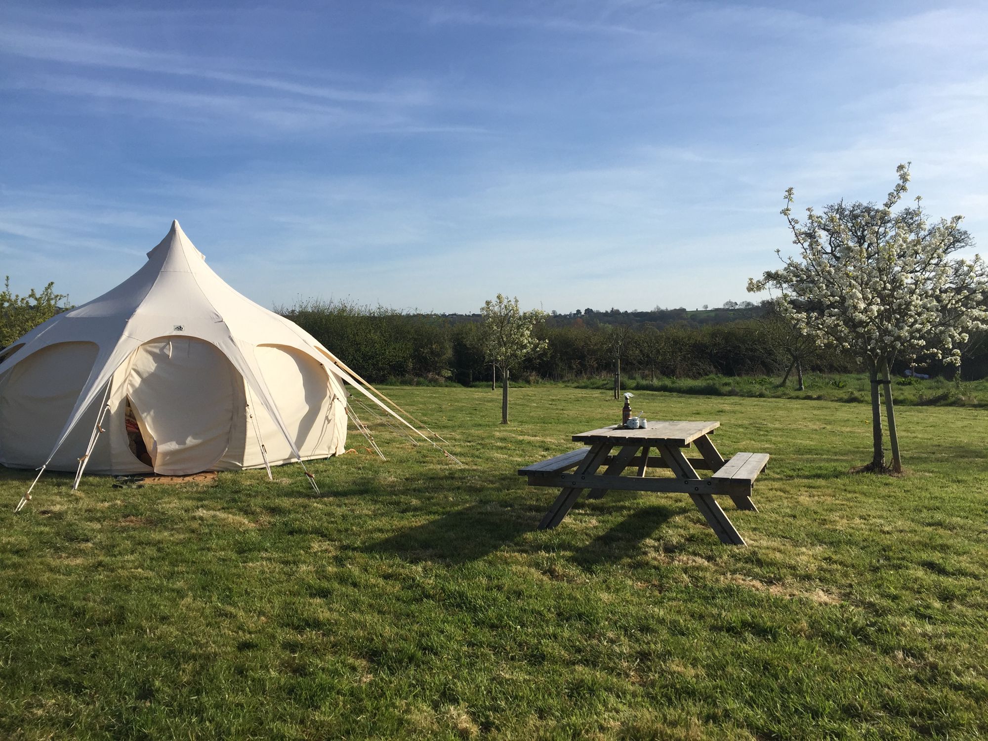 Pop Up Campsite Pitch at Old Bidlake Farm - Cool Camping.