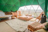 Hazel – Stylish eco-friendly deluxe geo-domes with gorgeous Welsh woodland views