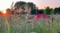 Tent Pitch