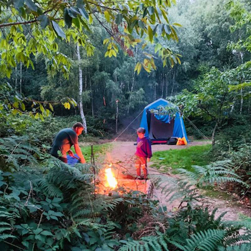 Forest Tent Pitch
