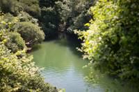 Sky 4 - Wild Camping - Private Pitch