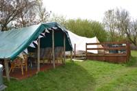 Rainbow Trout Bell Tent