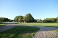 Pitch 3 Hard standing electric