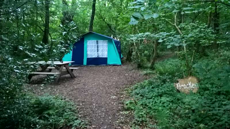 Bracken Woodland Pitch