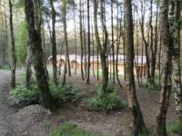 Wyldwood Lodge